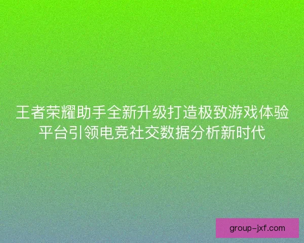 王者荣耀助手全新升级打造极致游戏体验平台引领电竞社交数据分析新时代 王者荣耀助手全新升级打造极致游戏体验平台引领电竞社交数据分析新时代