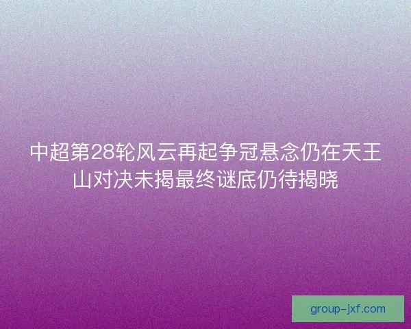 中超第28轮风云再起争冠悬念仍在天王山对决未揭最终谜底仍待揭晓